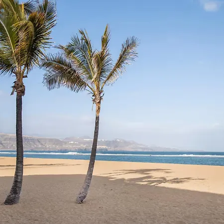 Vcv Fm Appartement *